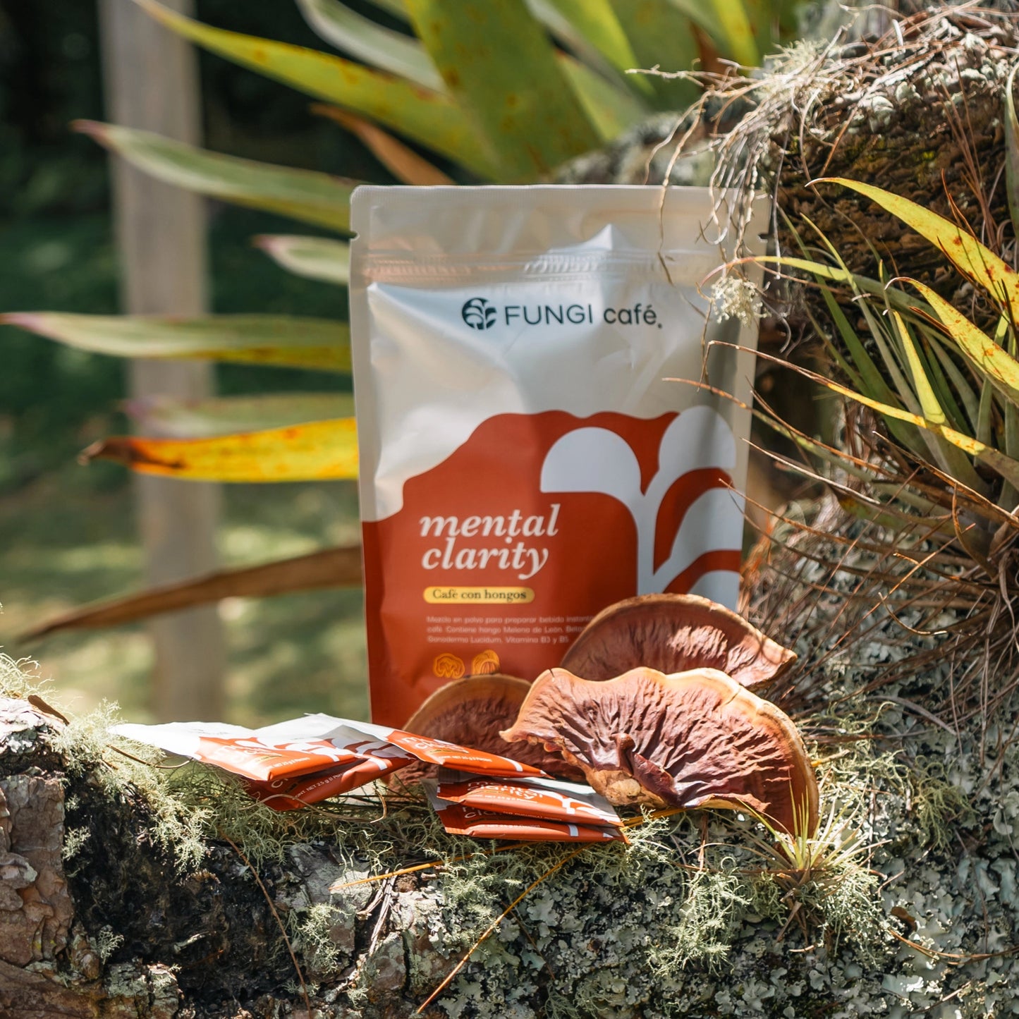 FUNGI CAFÉ - COMERCIAL